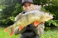 how-to-catch-bigger-perch-1-1024x681.webp