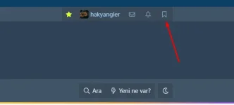 olta misina yer imleri.webp