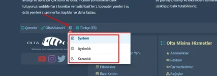 style seçici.webp style seçici.webp