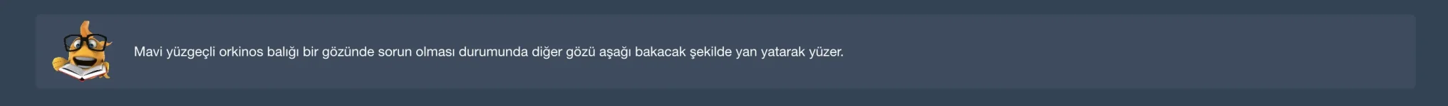 oltamisina random bilgi.webp oltamisina random bilgi.webp